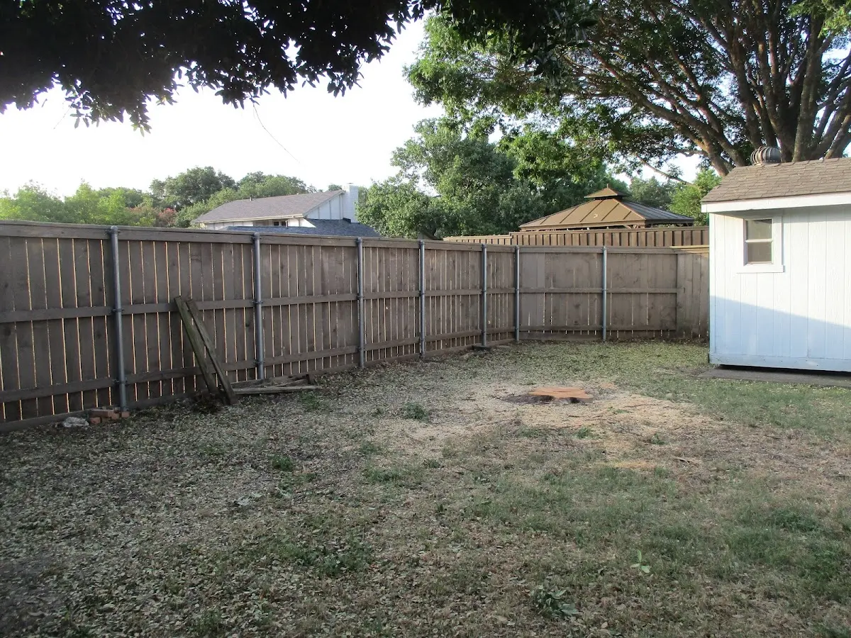 Cleared yard after professional tree removal in Harlowton